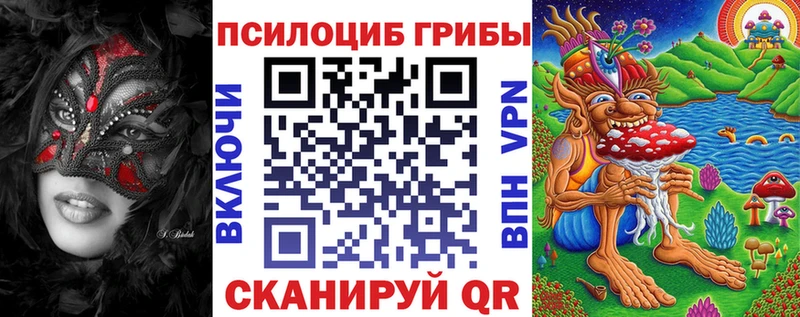 Галлюциногенные грибы мицелий  гидра ССЫЛКА  Пудож 